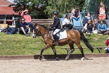 Bild 458 - Pony Akademie Turnier